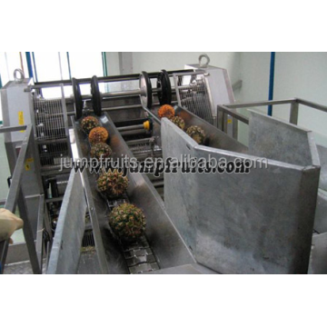 Tanduran Jus / Jam / Puree Processing